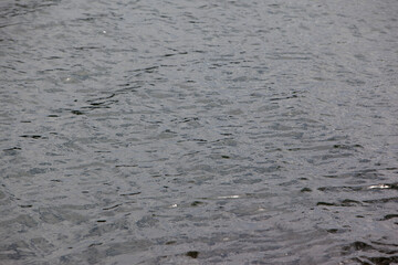 river and sea water texture