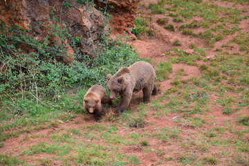 Imágenes del zoo de Cabárceno (Cantábria-España).
