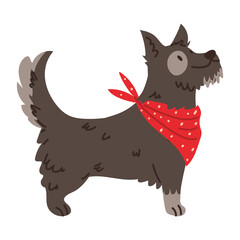cute dog pet