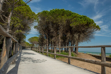 cycle path