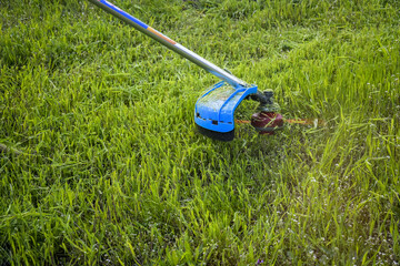 Process of cutting green grass with trimmer in garden. Rotating head with red fishing line cuts grass. Gasoline powered mower. Gardener takes care of garden. Close-up. Selective focus.