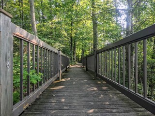 wooden bridge in the forest