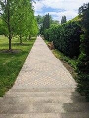 path in the park