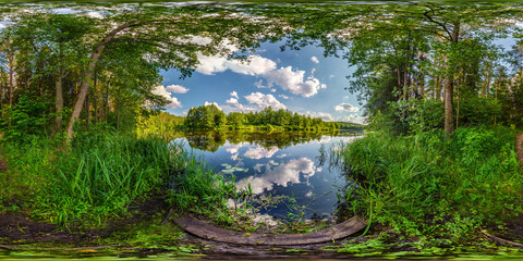full seamless spherical hdri panorama 360 degrees angle view among the bushes of forest near river or lake in equirectangular projection, ready VR AR virtual reality content