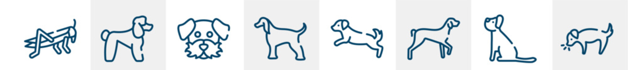 dog and training line icons such as locust, poodle, dog moustache, afghan hound, dog scaping, smelling outline vector sign. symbol, logo illustration. linear style icons set. pixel perfect vector