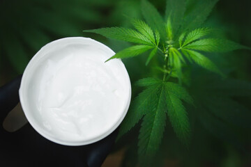Cannabis hemp cream background with marijuana leaves - topical cannabis and facial cosmetics concepts