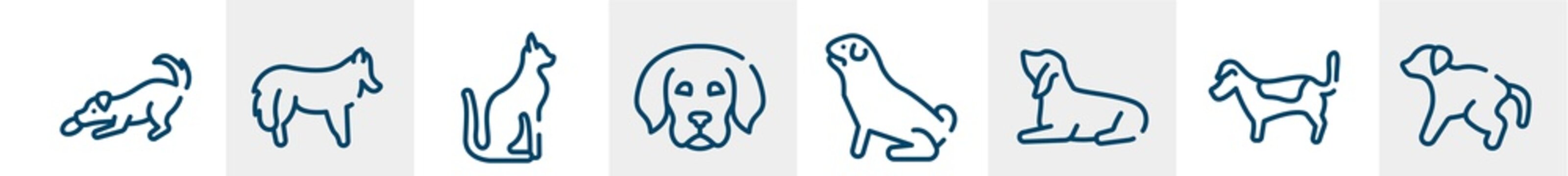 Dog And Training Line Icons Such As Dogs Playing, Shetland Sheepdog, Egyptian Cat, Dog Puppy, Pug, Scold The Dog Outline Vector Sign. Symbol, Logo Illustration. Linear Style Icons Set. Pixel Perfect