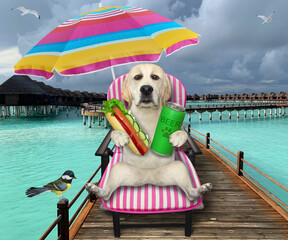 A dog labrador on a beach chair is drinking beer and eating a hot dog under an umbrella on the...
