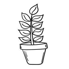 Plant 2 bw