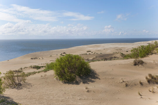 Dune Efa. Curonian Spit. Kaliningrad region