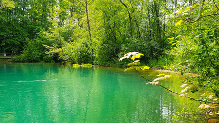 Rhuma Sprung Quelle Karstgebirge Trinkwasser Natur Schutz Wasser Wald Ausflugsziel Niedersachsen Rhume Rhumspringe Fluß türkis kalt feucht Steg Ponton Nationalpark wandern Bio- Öko- Umwelt- Aue  © www.barfuss-junge.de