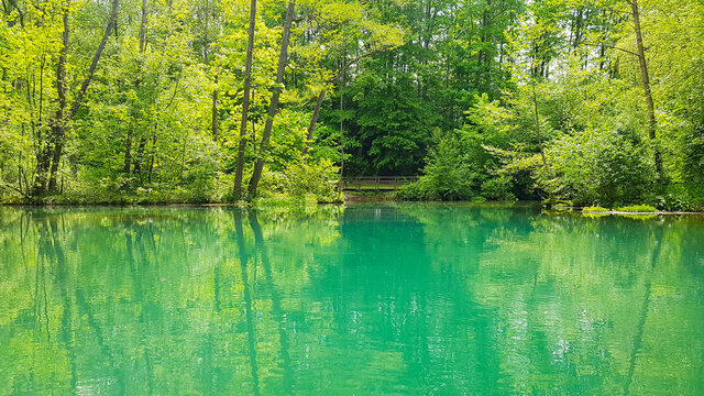Rhuma Sprung Quelle Karstgebirge Trinkwasser Natur Schutz Wasser Wald Ausflugsziel Niedersachsen Rhume Rhumspringe Flu&szlig; t&uuml;rkis kalt feucht Steg Ponton Nationalpark wandern Bio- &Ouml;ko- Umwelt- Aue 
