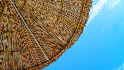 Summer season and nature background 