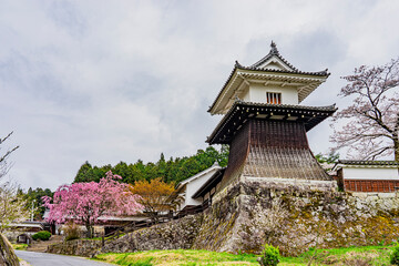 春の岩村城太鼓櫓と石垣