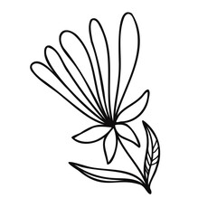 Modern isolated stylized design with abstract black and white flower