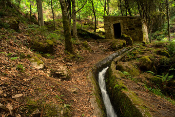 Molino