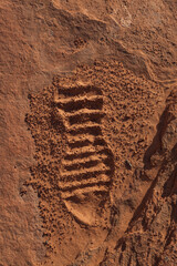 Footprints in the Sand
