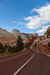 Road into Zion Landscape
