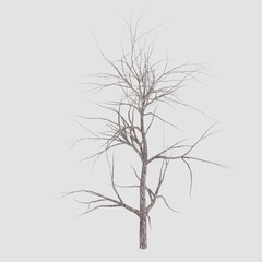 Tree 3d rendering. Tree picture.