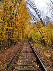Obraz premium Railway in autumn. Tunnel of love. Klevan, Ukraine