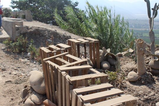paisaje rustico, cajas de fruta alineadas