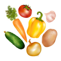 Vegetables mix collection isolated on white background. Tomato, potato, onion, garlic, cucumber, pepper, carrot vector illustrations. Healthy organic delicious food design. Vegan drawing still life.
