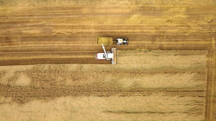 Feldhäcksler und Traktor mit Anhänger bei der Ernte auf einem Feld, Erntearbeiten, Luftbild