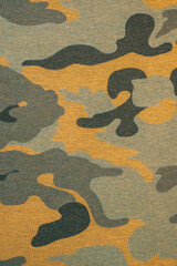 camouflage pattern background © Shukhrat Umarov