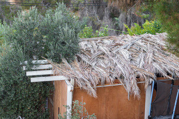 A view from above of a sukkah covered with branches of a palm tree