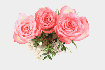 three pink roses on a light background