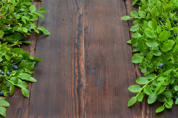 dark natural wood background with blueberry sprigs and space for object