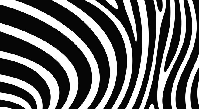 Zebra texture logo. Isolated zebra texture on white background © oleg7799
