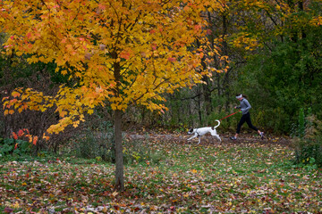 runner with dog in autumn park