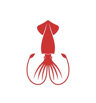 Squid logo. Isolated squid on white background