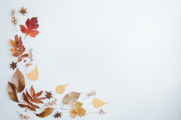 Autumn floral design composition of fall leaves