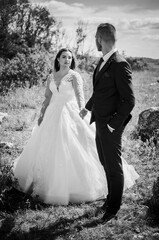 Newlyweds hug on the background of rocks and a beautiful landscape