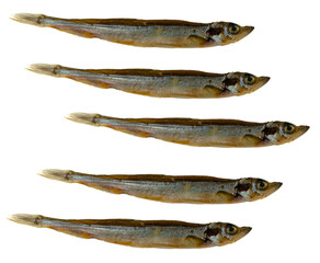 Cold smoked capelin fish, appetizer, on white background isolated