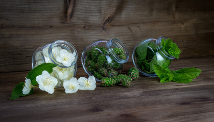 Chubushnik flowers, green pine cones and lemon mint leaves in a glass jar