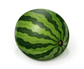 Watermelon. Green Juicy Fruit, Isolated on White Background, Watermelons realistic fruits. Vector. Eps10 vector illustration.