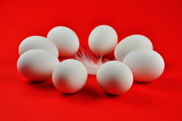 White chicken eggs on a red background.
