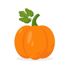 Orange pumpkin with green leef Vector icon