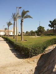 Obraz premium path in the park
