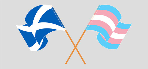 Crossed and waving flags of Scotland and Transgender Pride