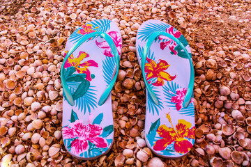 flip flops on the beach