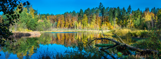 Beautiful lake panorama, autumn forest.