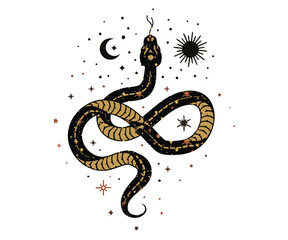 cosmic magic Snake. Snake and wildflowers. Halloween and boho Floral design. Botanical elements. Rustic decorative plants. Black silhouette snake. Minimal snakes for logo, tattoo