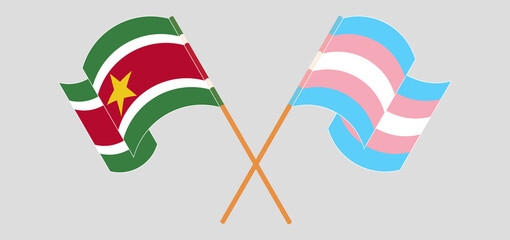 Crossed and waving flags of Suriname and Transgender Pride