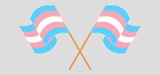 Crossed and waving flags of Transgender Pride