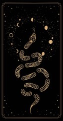 tarot cards esoteric mystical magic celestial talisman with snake, sun, stars sacred geometry isolated. Spiritual occultism object. Vector illustrations in black outline style