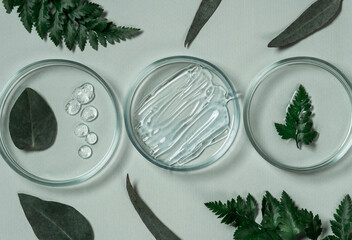Cosmetic products on a pastel green background with eucalyptus and fern leaves. Natural cosmetics...